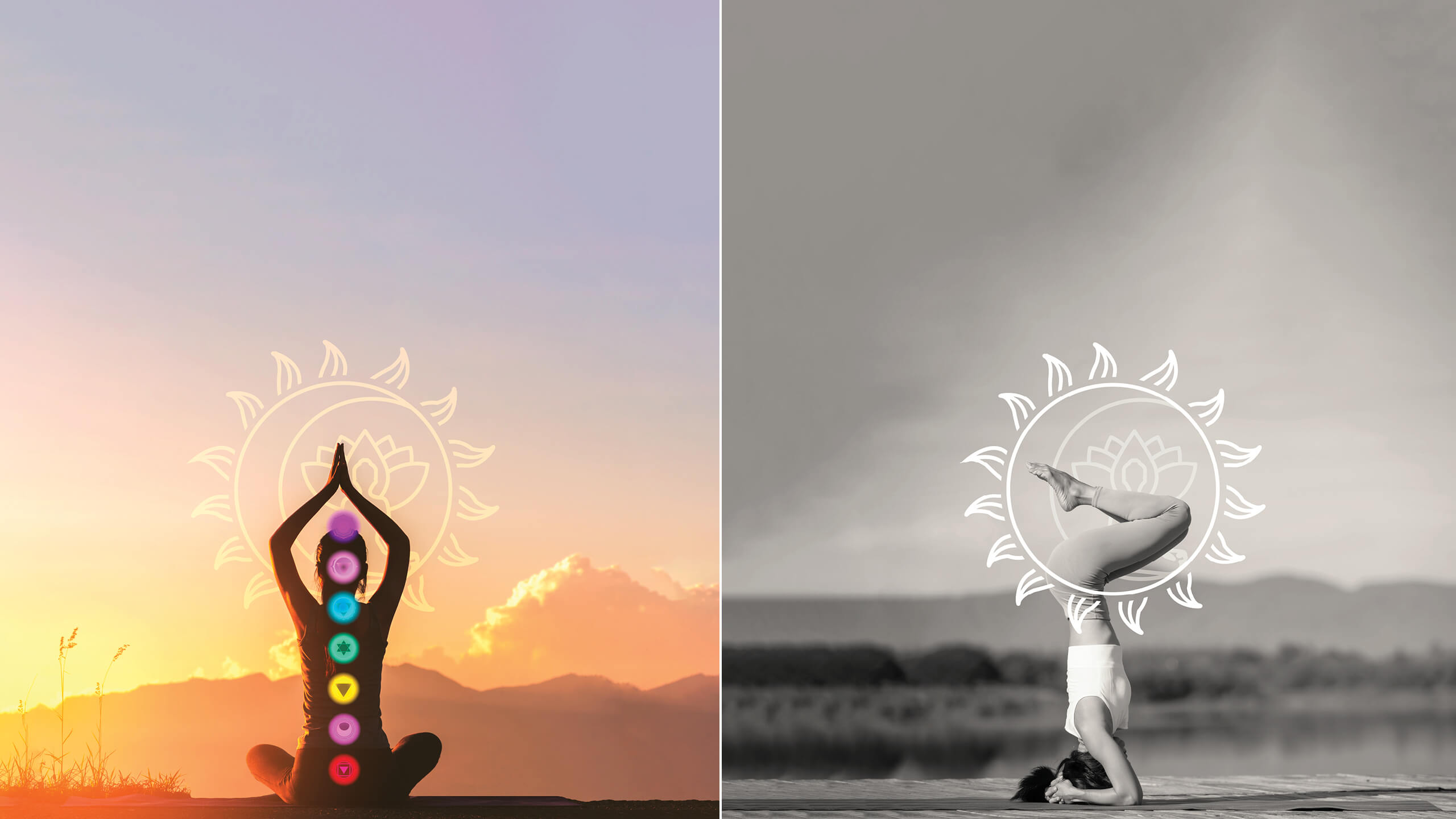 Lotus-Hatha-Yoga-BMC-Works-17