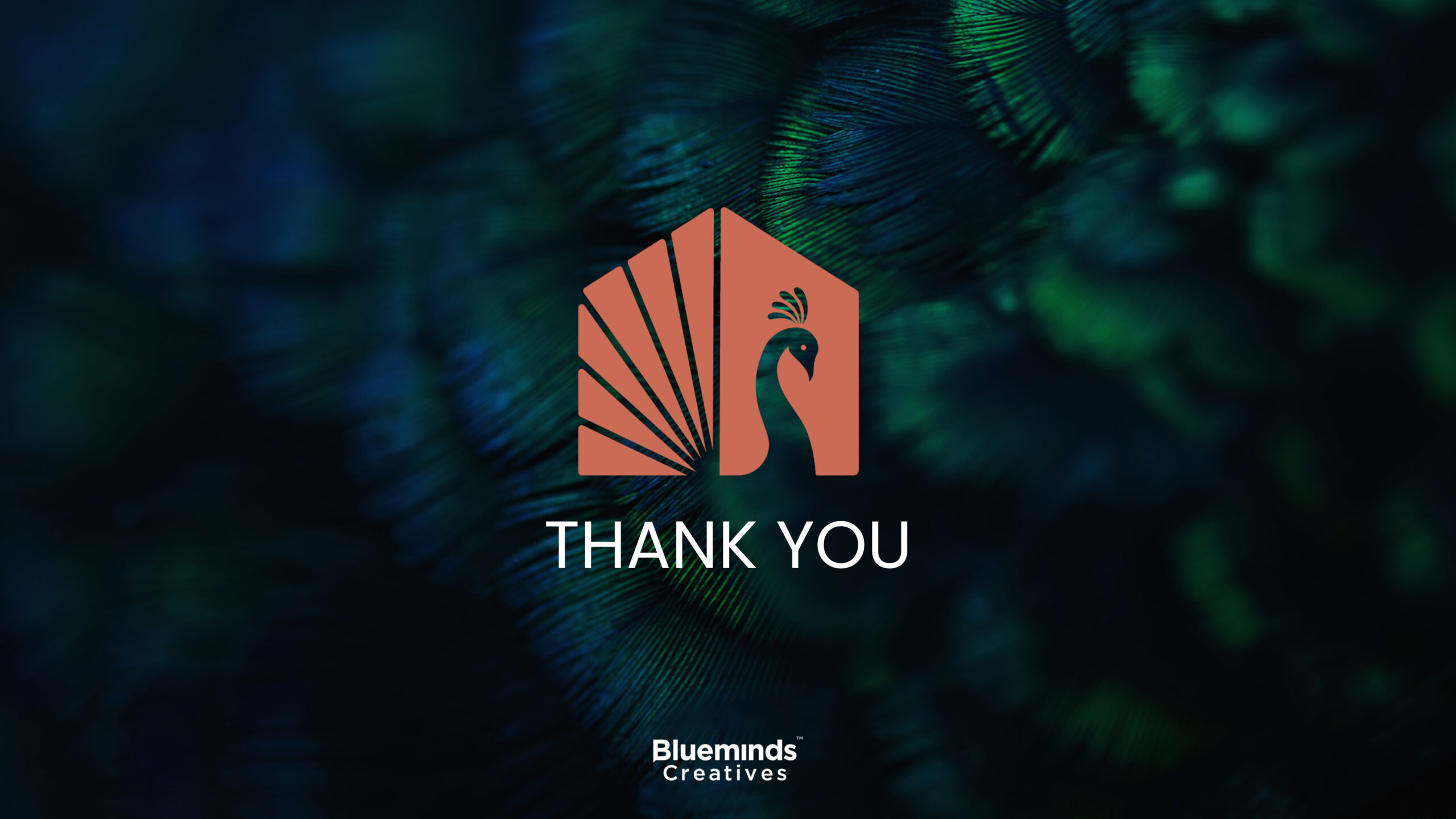 BluemindsCreatives-Aarvasa_25