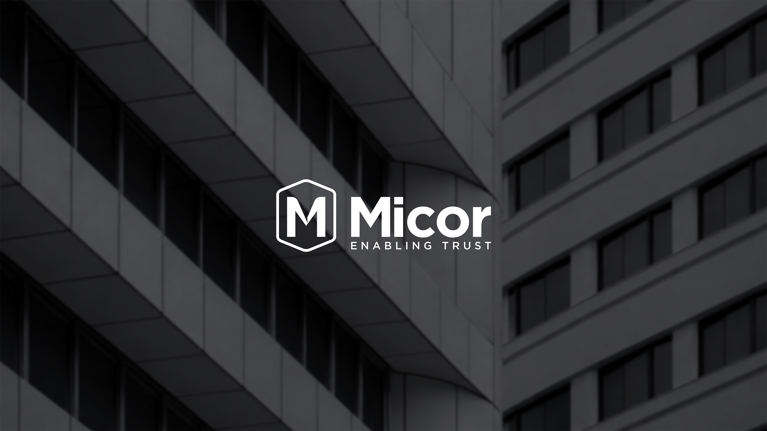 Blueminds_Creatives-Micor_Branding-01