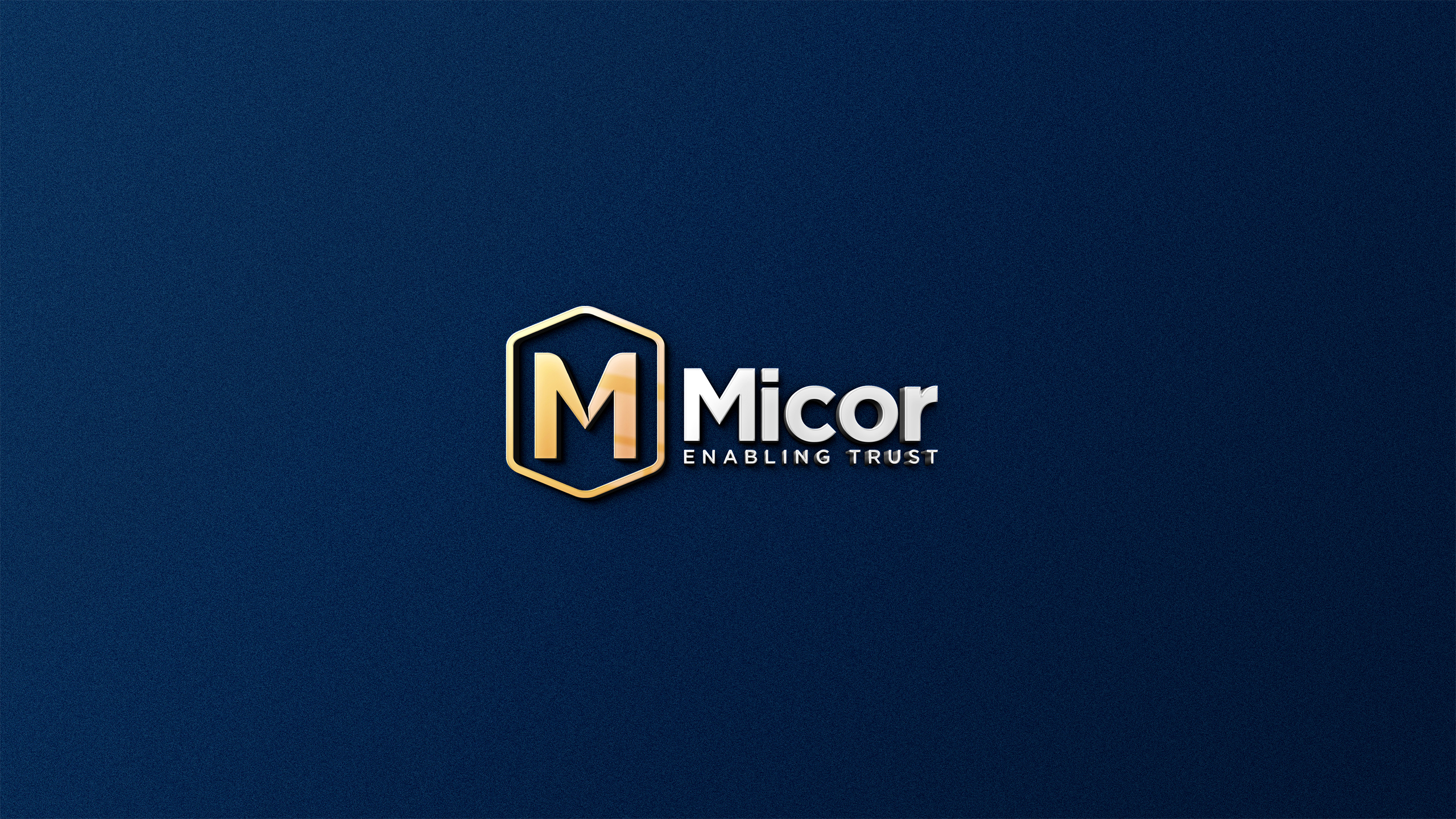 Blueminds_Creatives-Micor_Branding-02