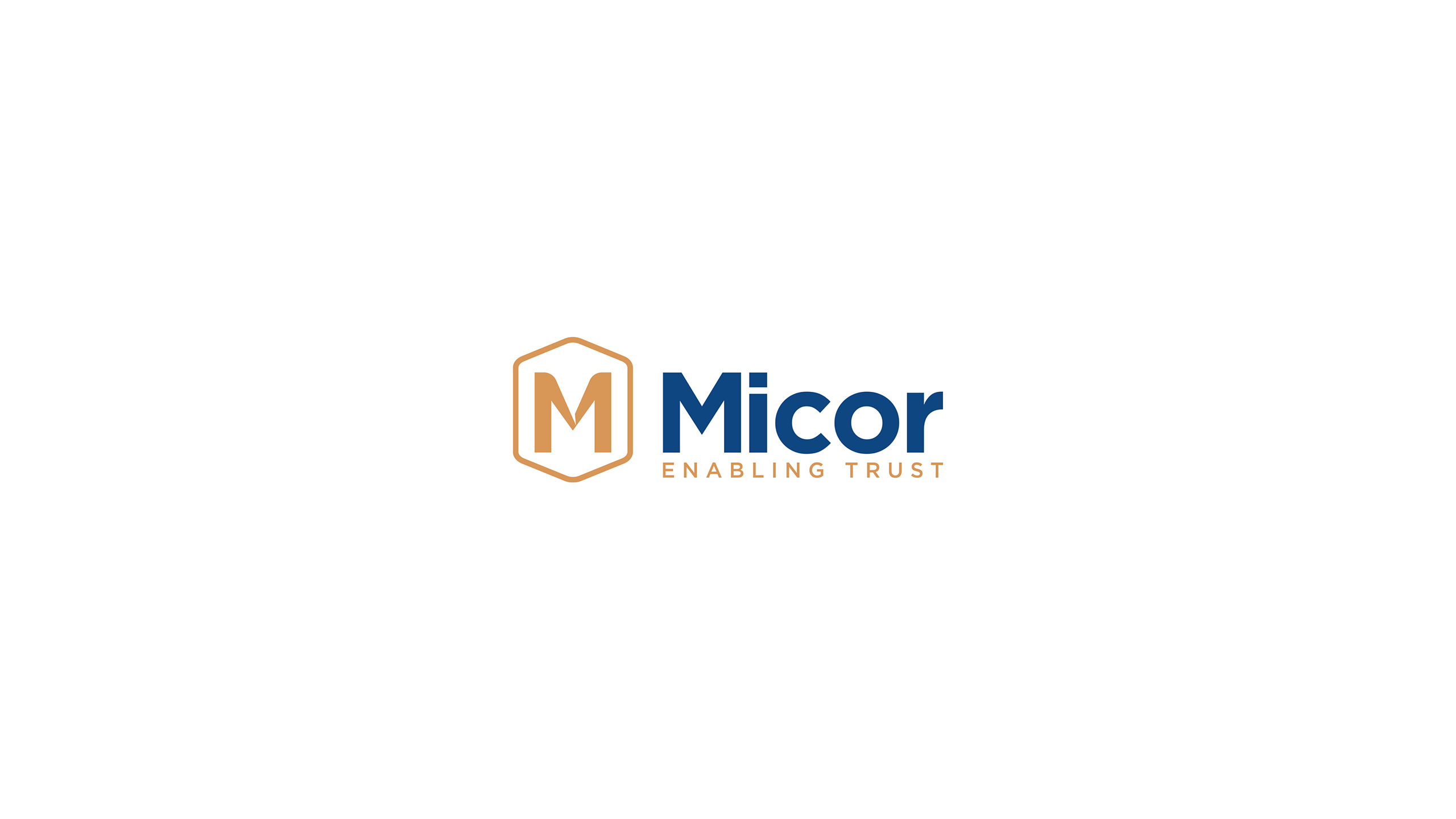 Blueminds_Creatives-Micor_Branding-04