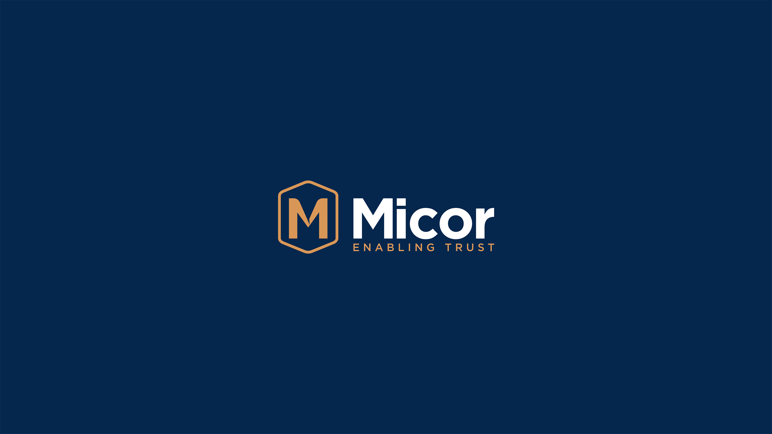 Blueminds_Creatives-Micor_Branding-05