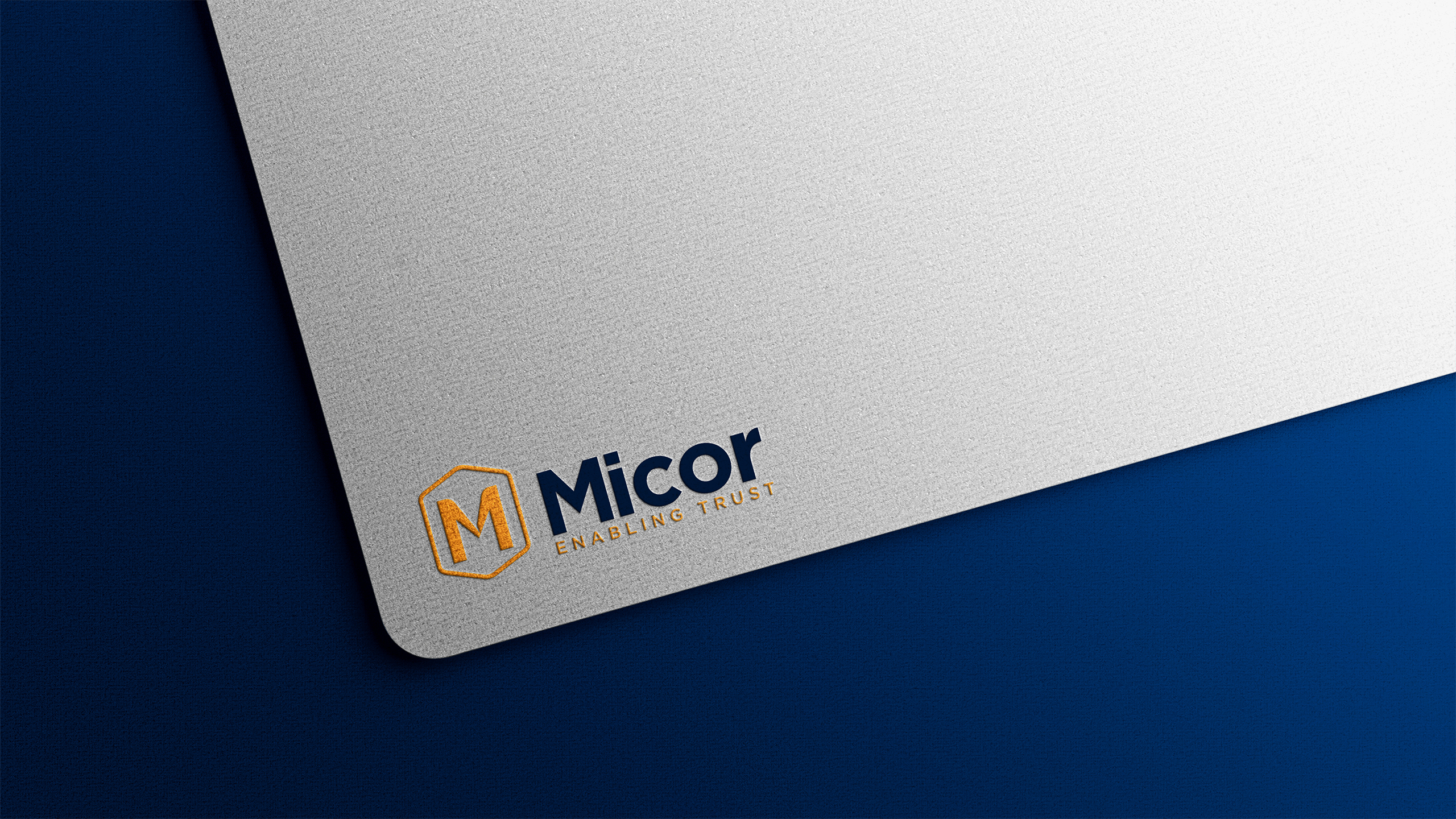 Blueminds_Creatives-Micor_Branding-08